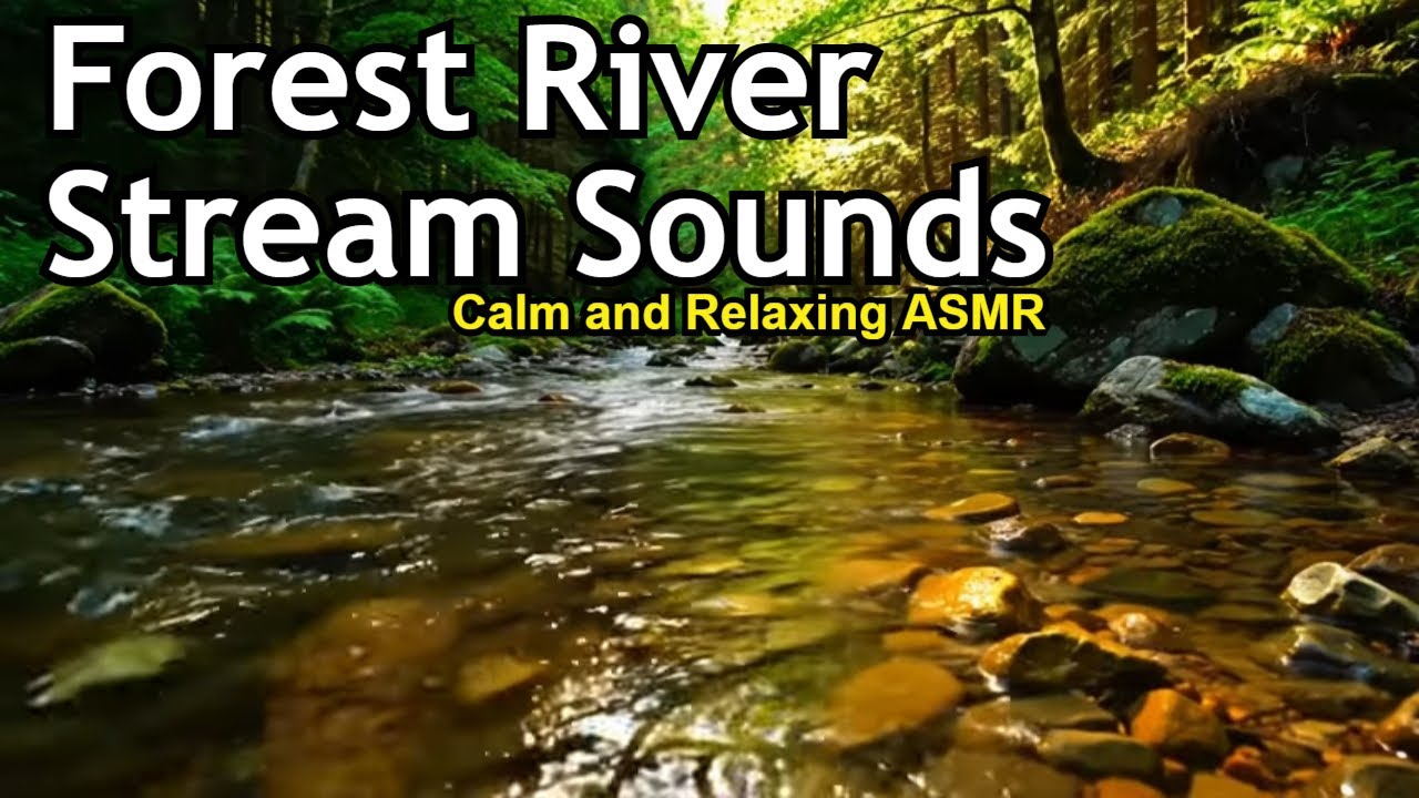 Forest Stream Sounds – Calm and Relaxing ASMR | Relaxing Music - YouTube