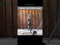 تعديل استقامة الجدارن وتغليفه