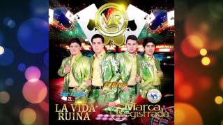 Marca Registrada - El Brujo (Estudio 2014)