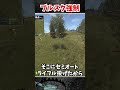 ブルスク強制 #VCRRUST #rust #黒炭酸