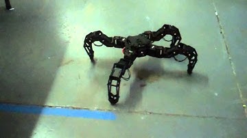 PhantomX Quadruped Mark II Prototype