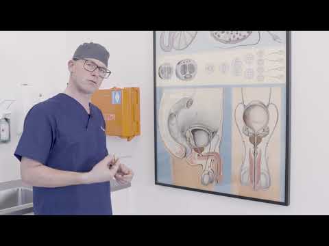 Video: Vasektomie In Plaas Van Onsydig? (vir Jou Hond)