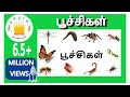 பூச்சிகளின் பெயர்கள் |Learn  Tamil Bugs and Insects Name for Kids