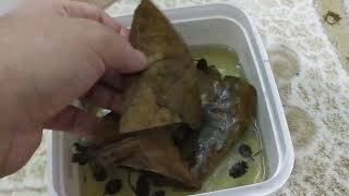  Catappa Yaprağı ve Kızılağaç Kozalağı Kullanırken Dikkatli Olalım.
