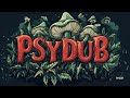 Peaceful Dub Frequencies Vibes - Psy Dub Mix (Roots Dub)