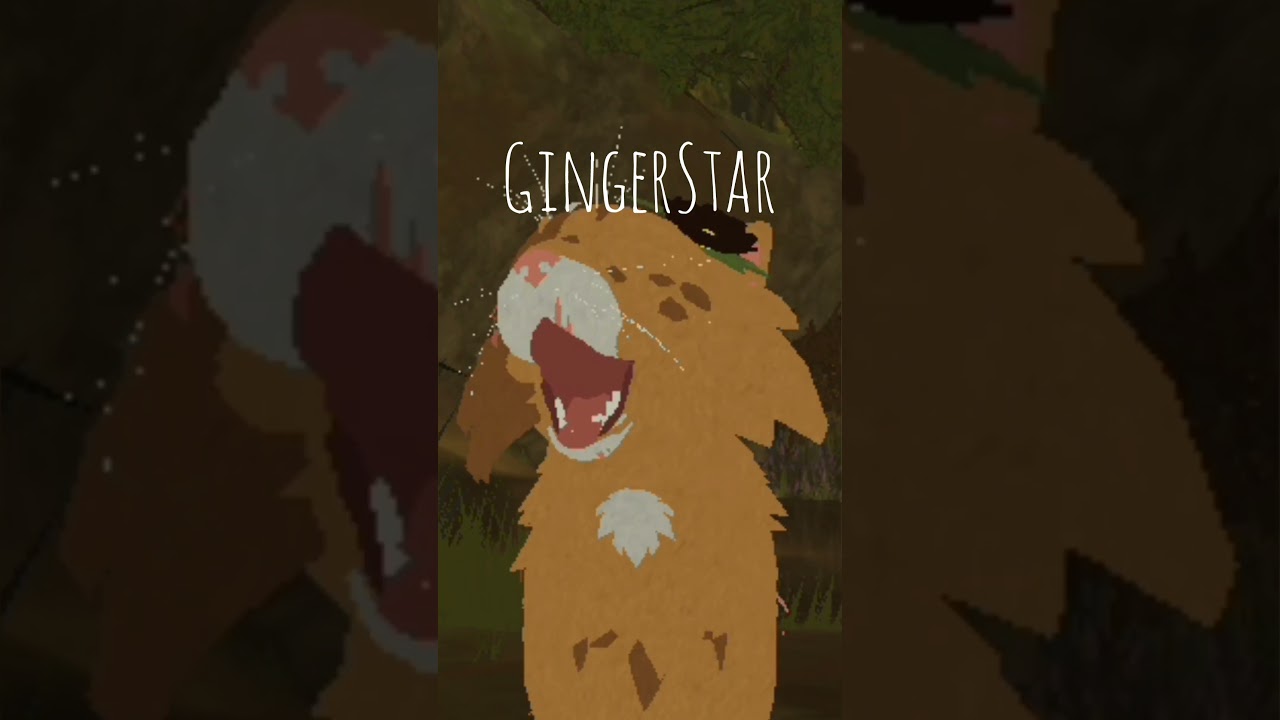 Meet my Warrior cats OCs