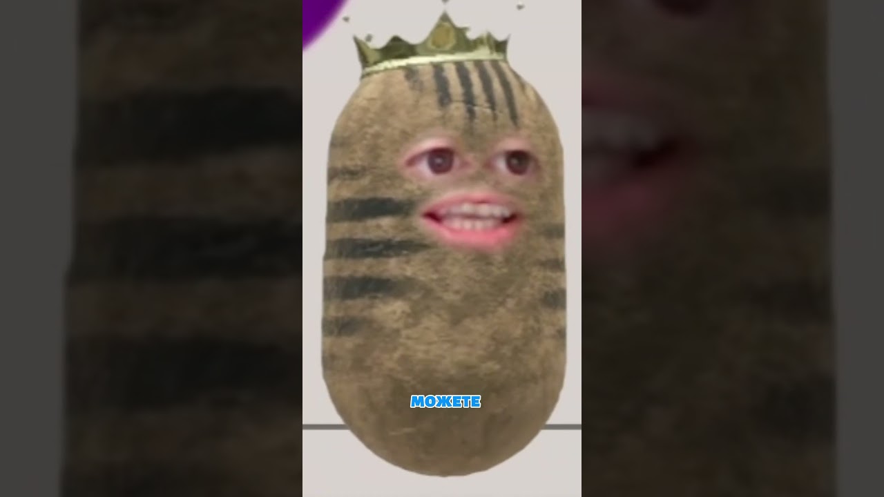 Моменты со стрима 