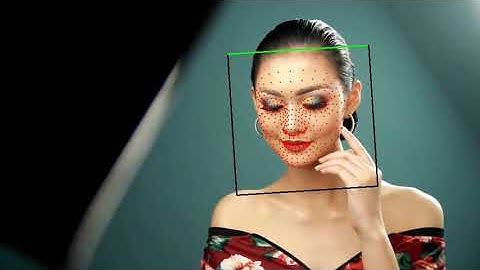 ailia MODELS : FaceMesh