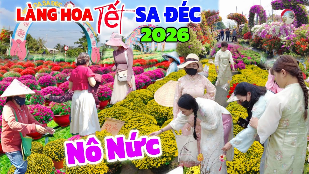 Tưng BỪNG làng hoa Sa Đéc Tết 2026/ SỐC giá Tắc Cúc 8k Vườn hoa GIẤY rẻ như cho 