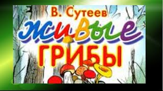 Живые грибы. Сутеев В. Г. Живые грибы. Сутеев В. Г.