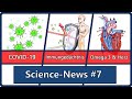 Science News #7: Covid-19 & Immunsystem | Immungedächtnis & Impfung | Omega 3 als Supplement