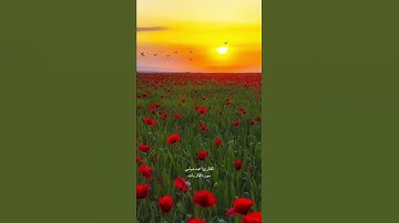 تلاوة جميلة من سورة الذاريات القارئ احمد عباس البلوشي