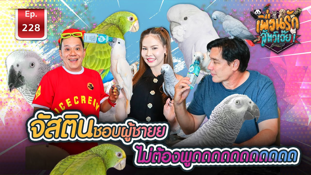 African Grey แอฟริกันเกรย์ จัสติน |เพื่อนรักสัตว์เอ๊ย EP.228 
