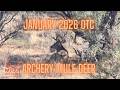 Arizona OTC Archery Hunt | Desert Encounters