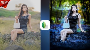 New Realistic Background Colour Change 🔥 !! | Snapseed Mobile Tricks | Niraj Editz