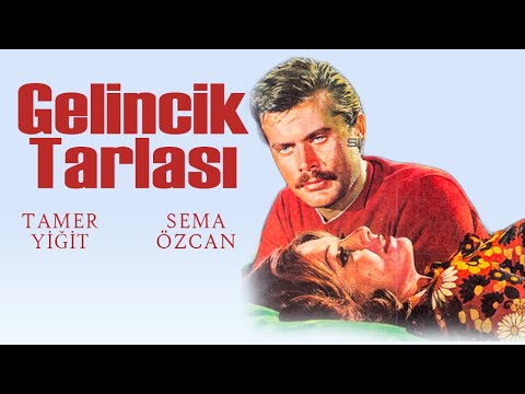 Gelincik Tarlası Fragmanı