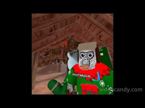 My Experience in code Daisy09 (This should’ve been posted in January but I forgot)