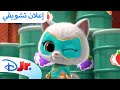 حلقات جديدة القطط الصغيرة الخارقة ديزني جونيور العربية حلقات جديدة القطط الصغيرة الخارقة ديزني جونيور العربية