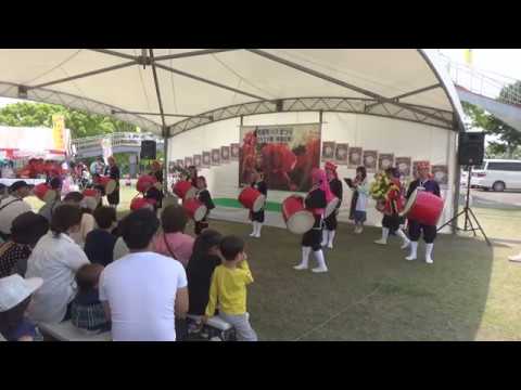 2019/05/12　『 ミルクムナリ 』　by 琉球國祭り太鼓 柳川支部　in 第15回粕屋町バラまつり