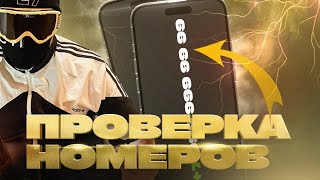 Проверка (чекинг) мобильных номеров на наличие логина телеграмм, новый модуль в Щеке Акулы screenshot 5