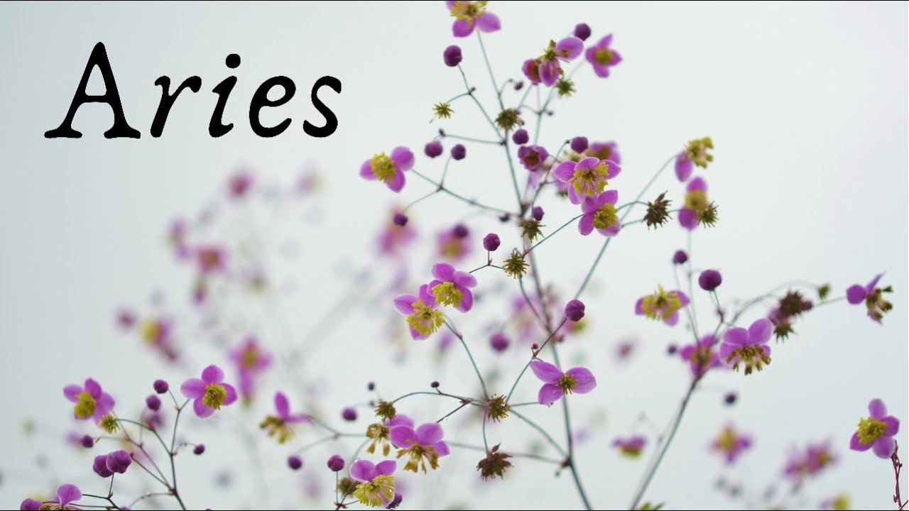 Aries ♈️ Love ~ This Person Wants You but...