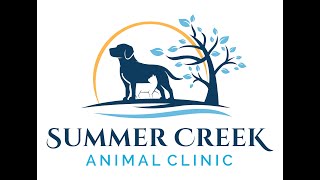 Cat Vaccine FAQ Wealth