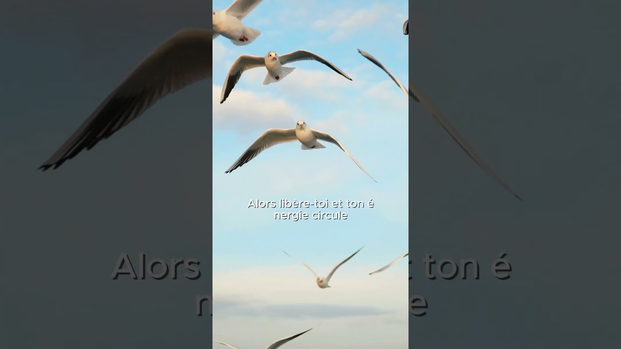 Les 2 piliers pour attirer l’abondance et la réussite