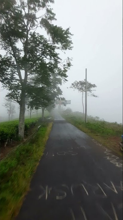 Story WA..!! Sore Hari di Kampung yang Sejuk, Ketika Hujan Gerimis dan Turun Kabut #shorts