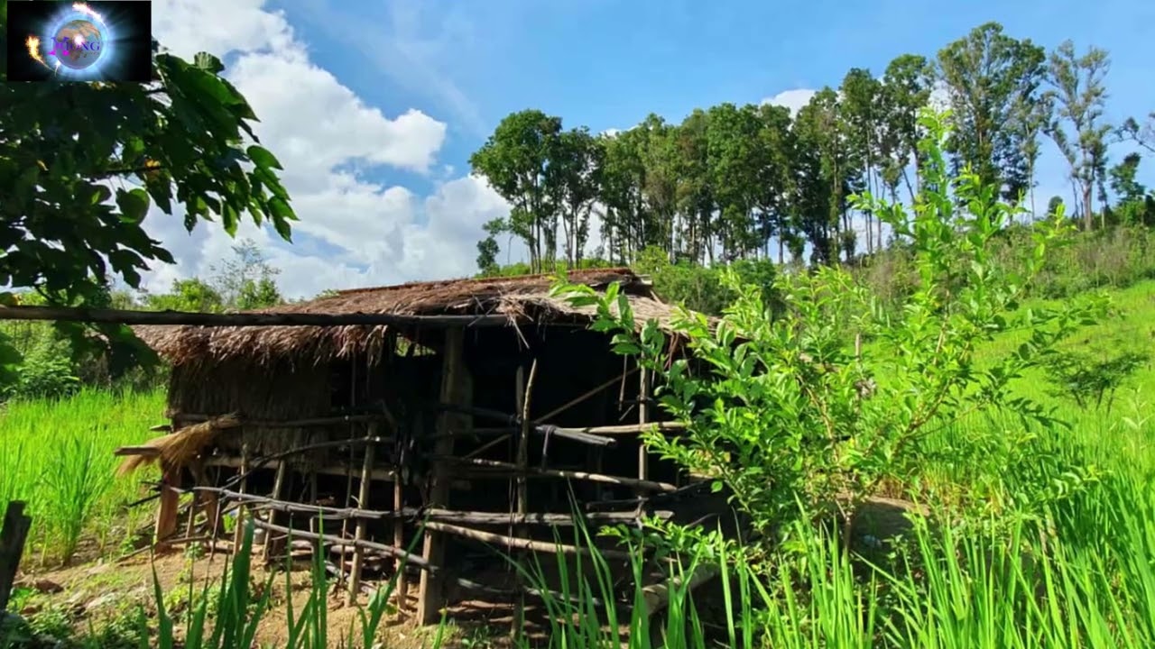 Глава китайского государства находится в стране