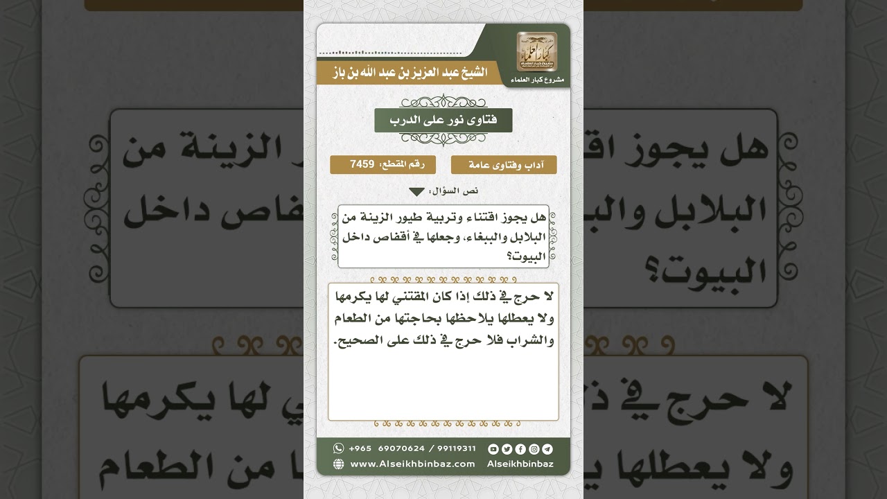 7459 - حكم تربية طيور الزينة - نور على الدرب