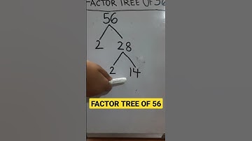 Factor tree of 56 #factorization #factortree