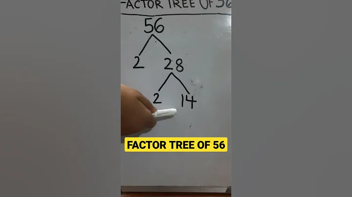 Factor tree of 56 #factorization #factortree