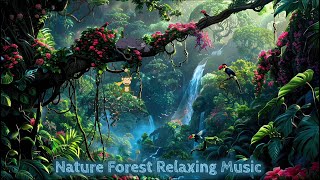 Ambient Relaxing Music/Nature Forest/{Peaceful Music}🎧