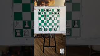 Revolutionize Chess Teaching: Magnetic Board Toys for Easy Strategy Learning!