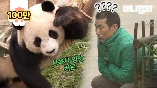 Panda Asks His Close Friend Keeper To Set Him Up On Blind Dates Lol