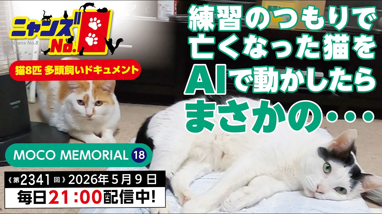 Episode 2340: I tried using AI to animate my deceased cat as