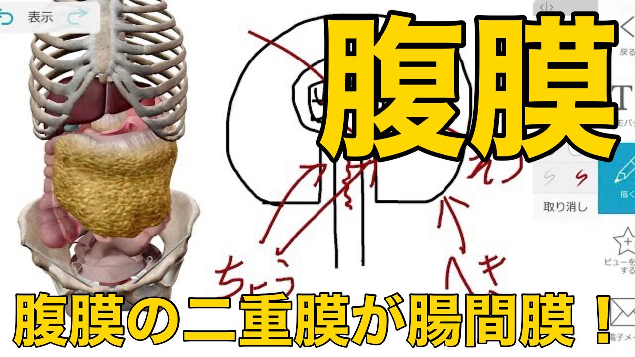 血腹膜からはどのような合併症が発生する可能性がありますか?