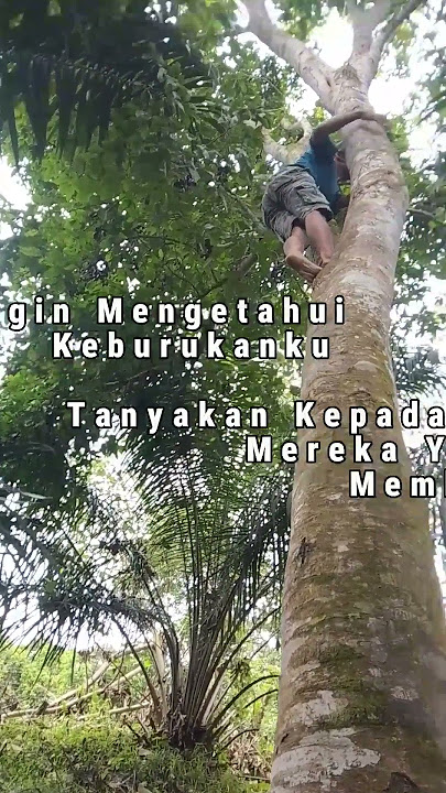 pak bos lgi panjat pohon jengkol(jering) kita bantu doa #masakayam #jalanyangjauhjanganlupammmm
