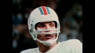 1975 Miami Dolphins