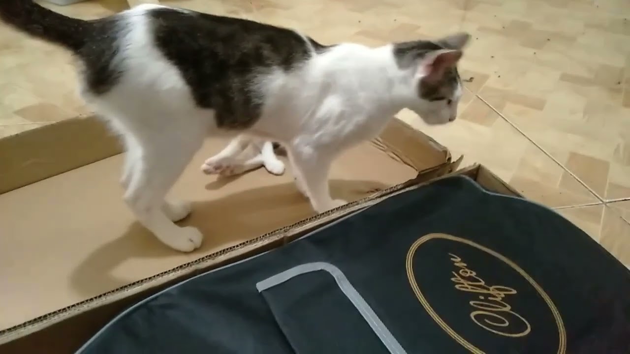 Clifton 5 strings jazz bass unboxing and  medyo review