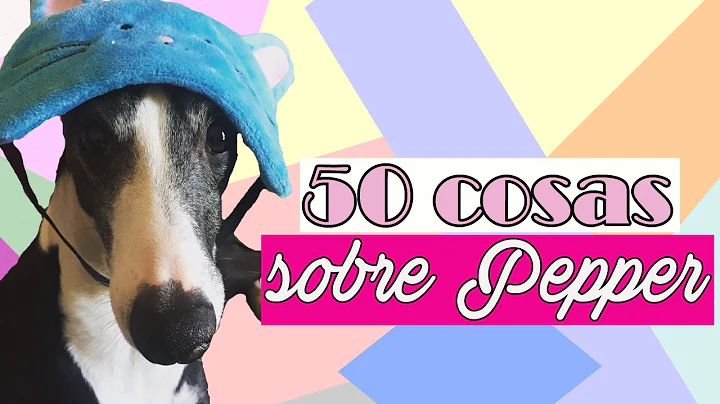 50 COSAS SOBRE PEPPER | Fashion Diaries