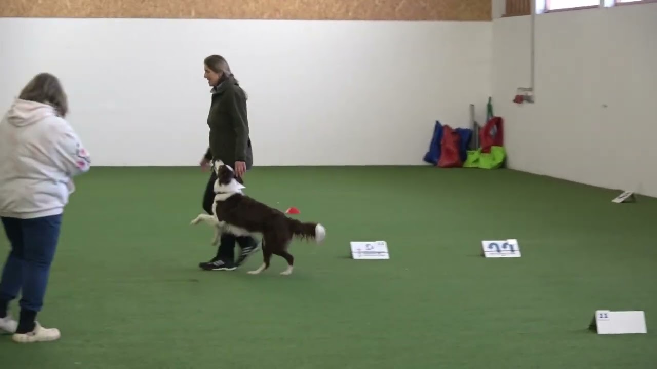 Team Wenzel FCI RO Maisy Absdorf