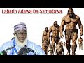 Labarin Adawa Da Samudawa