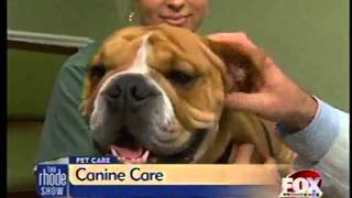 Pet Care : Keeping your pets healthy and happy