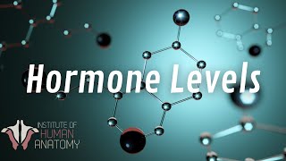 Famous The Hormonal Rollercoaster | Part 4 of the Female Reproductive Cycle Wealth