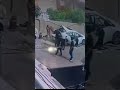 وينهم الكلاب النابحة نبحتو لمن كلتو بس والف سلامة لصاحب العجلة