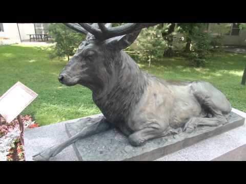 Николина Гора Володя показывает пансионат парк реку природу детскую площадку 