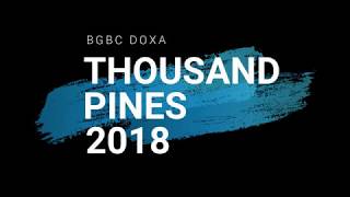 Thousand Pines Recap [Lite]