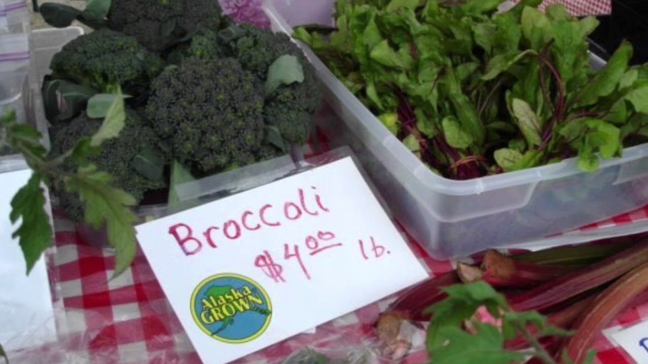 Willow Farmer’s Market YouTube