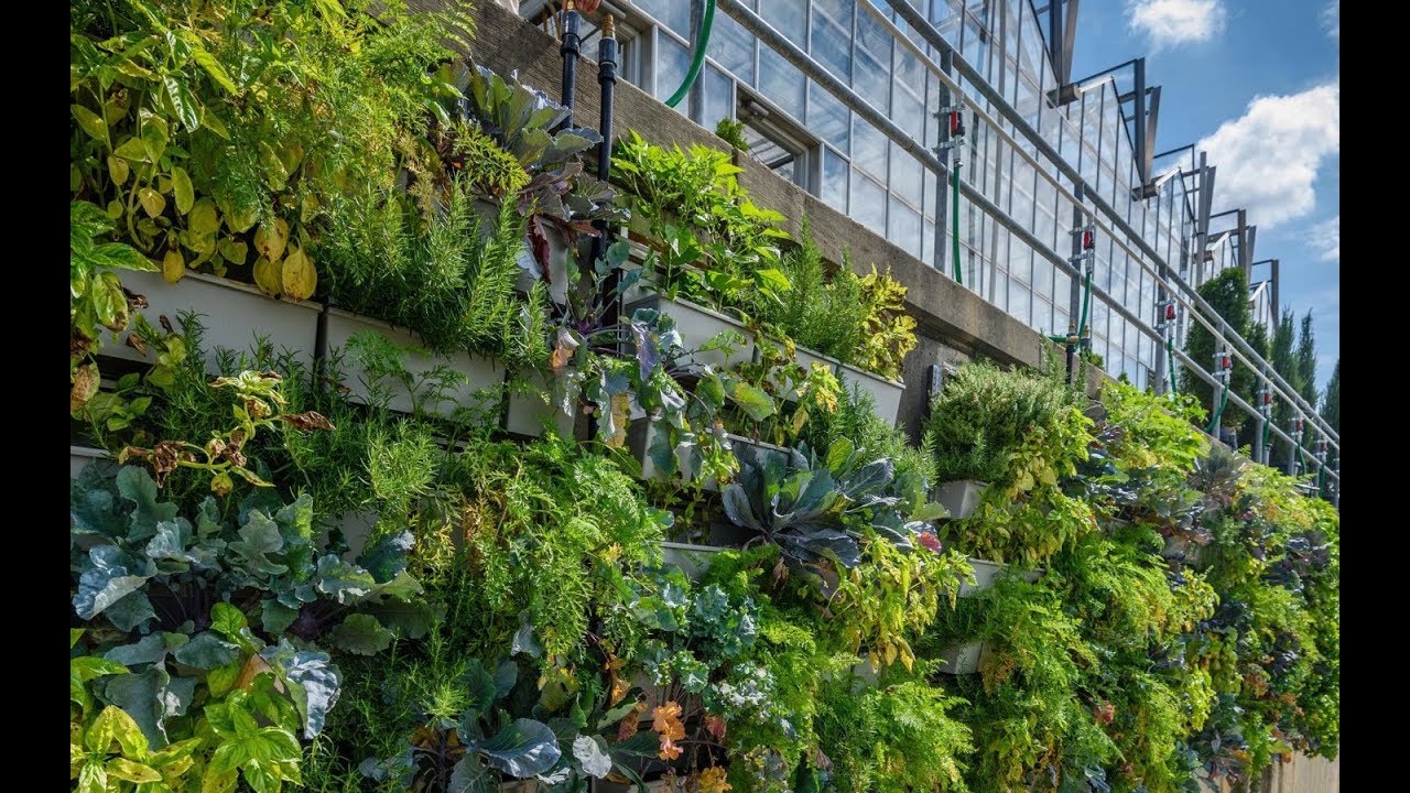Phipps Conservatory Production Greenhouse Living Walls - Project of the Week 11/20/17